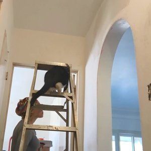 Meet your Posher, Annie